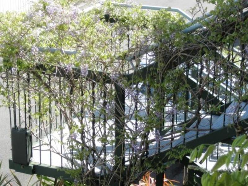 Westport Spa Motel Ngoại thất bức ảnh